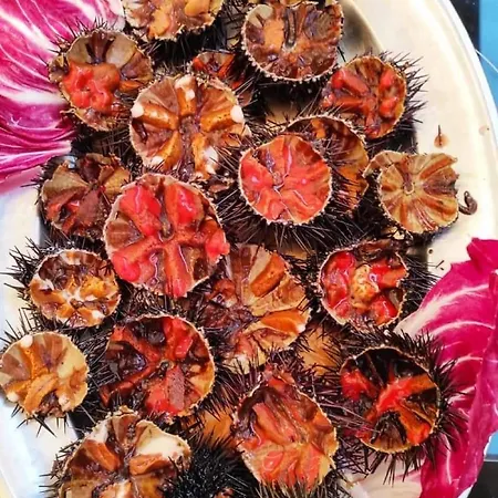 Fabiene Familyholidays Апартаменты *