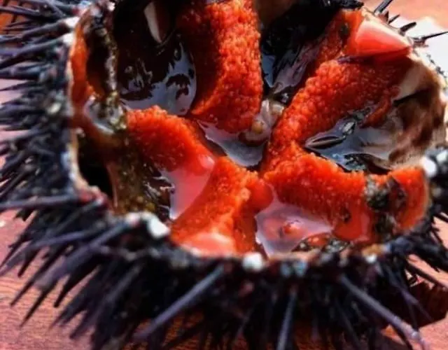 Fabiene Familyholidays Апартаменты