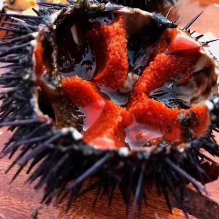 Fabiene Familyholidays Apartmán