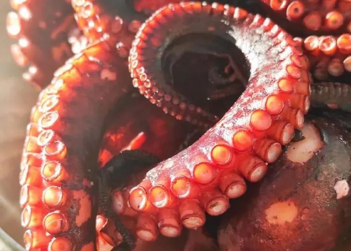 Fabiene Familyholidays Cefalù